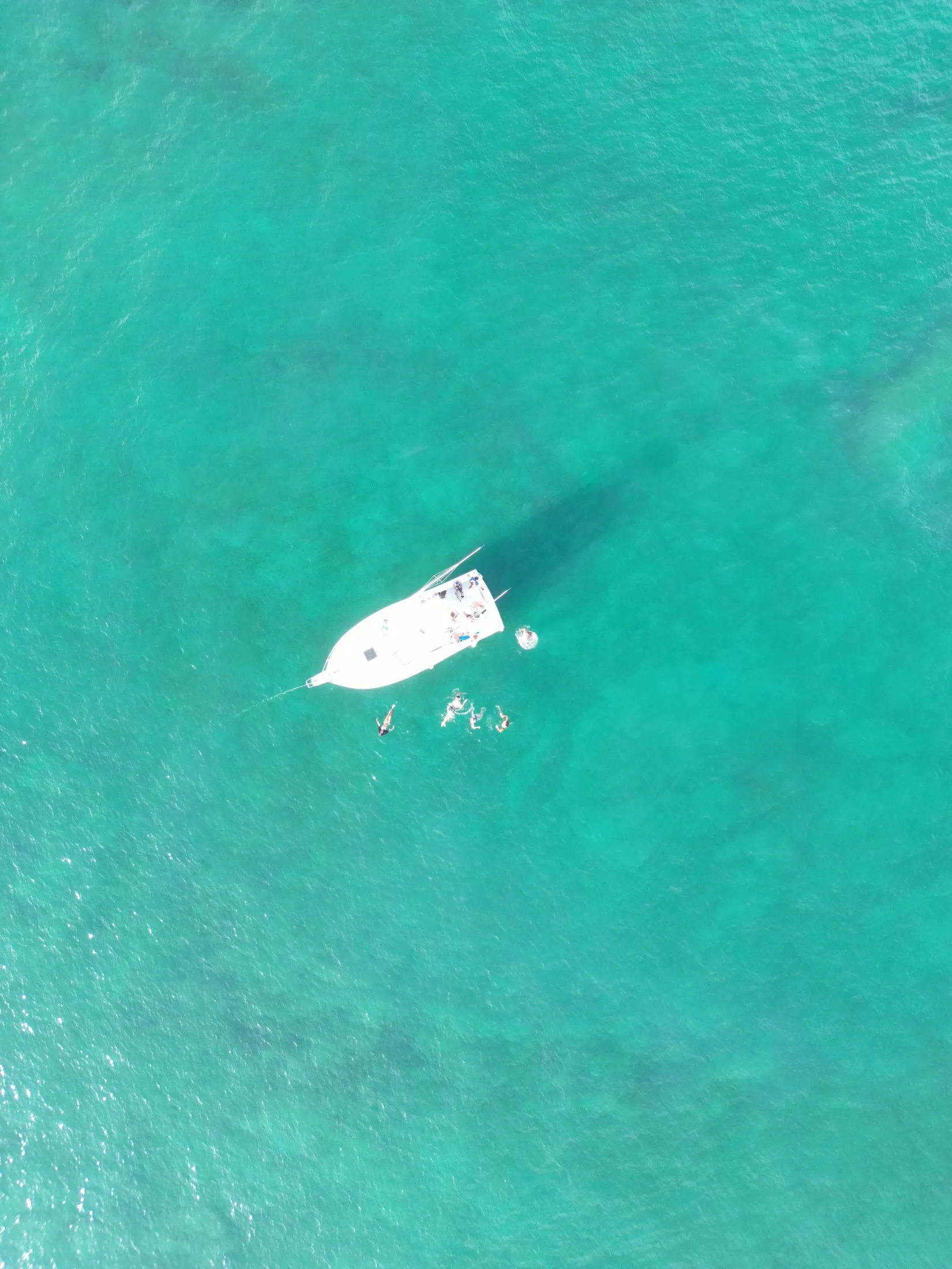 A Monkey Head boat and swimmers in clear turquoise water off Playa Garza, from the air