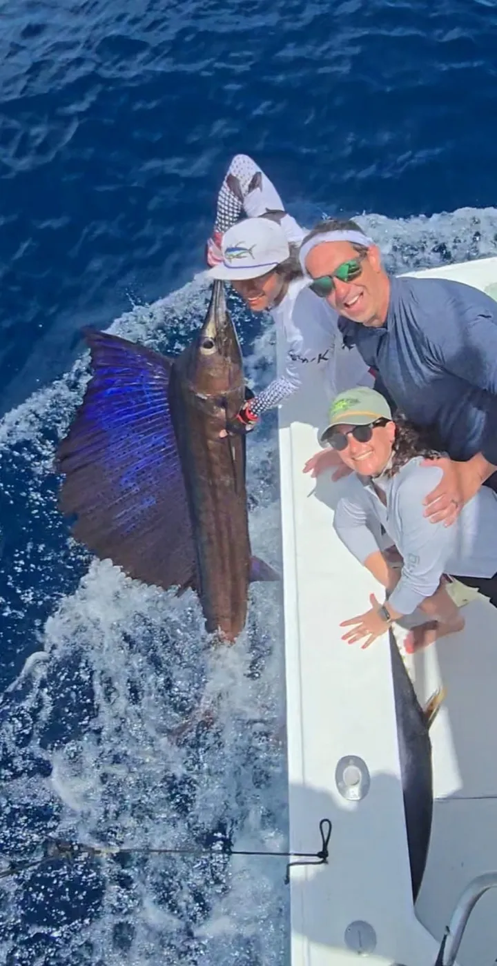 Guests releasing a sailfish at the side of the boat off Playa Garza