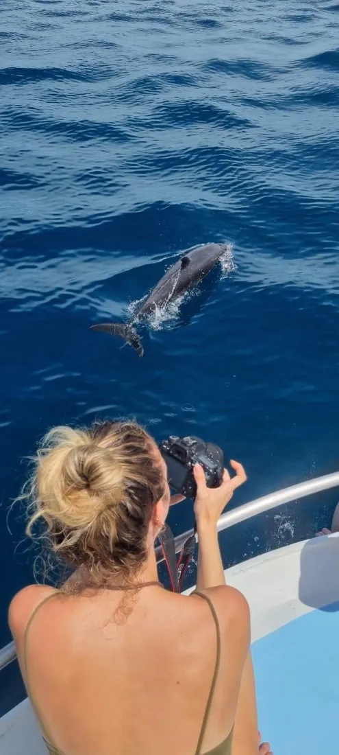 A guest photographing a dolphin alongside the boat off Nosara