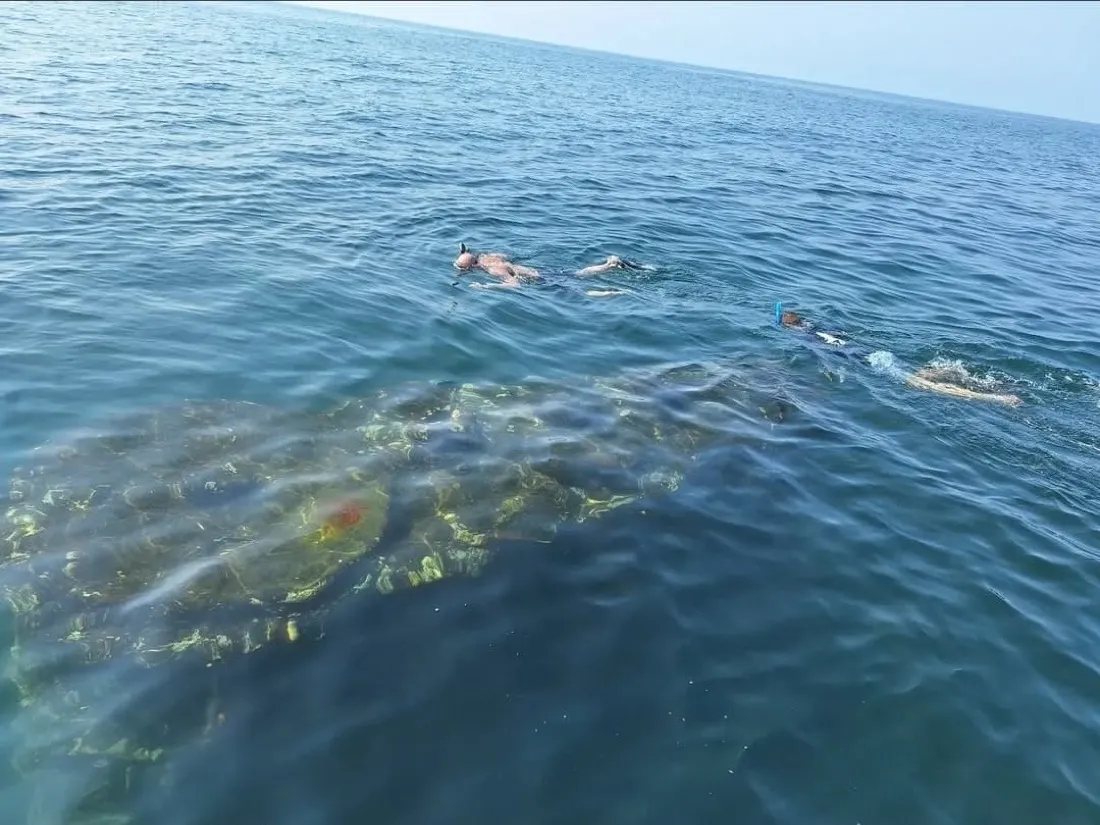 Snorkelers over a shipwreck in clear water off Nosara