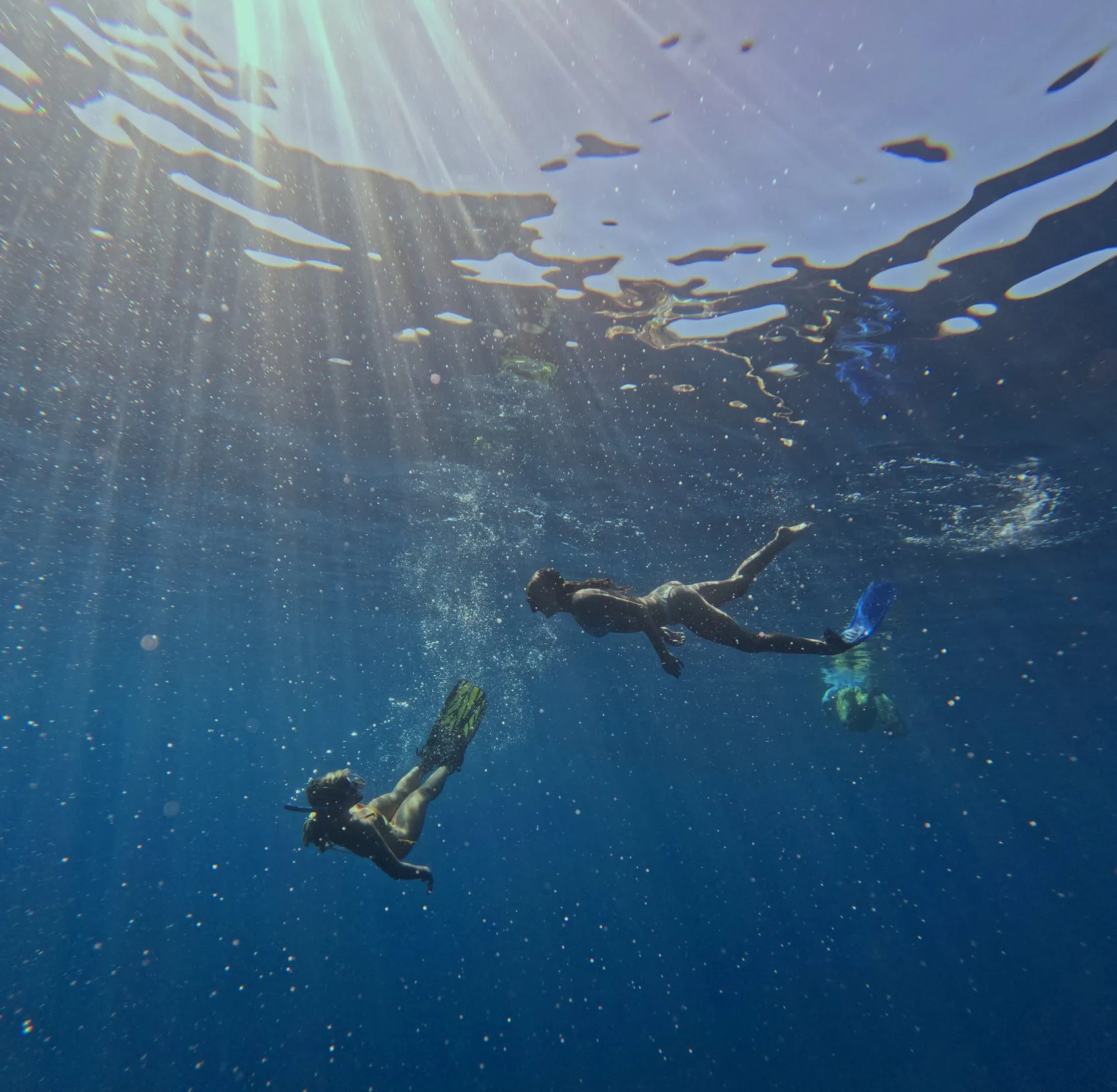 A diver down along the rock